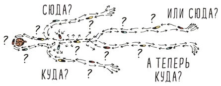 Иллюстрация к книге — Может ли жираф облизать свои уши? [i_244.jpg]