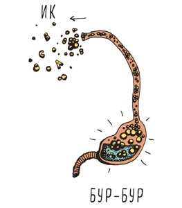 Иллюстрация к книге — Может ли жираф облизать свои уши? [i_250.jpg]