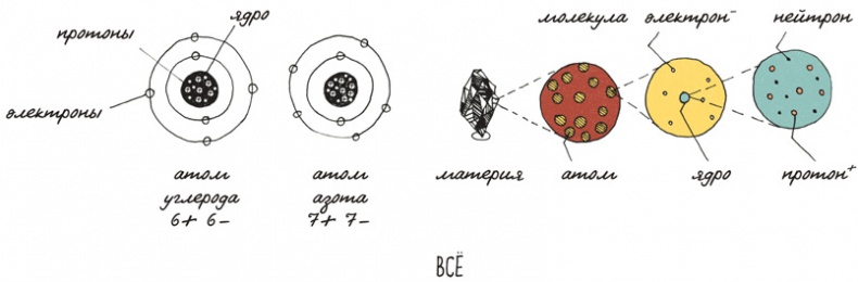Иллюстрация к книге — Может ли жираф облизать свои уши? [i_251.jpg]