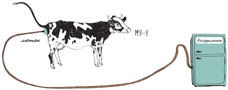 Иллюстрация к книге — Может ли жираф облизать свои уши? [i_259.jpg]