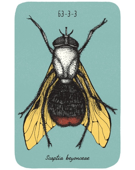 Иллюстрация к книге — Может ли жираф облизать свои уши? [i_283.jpg]