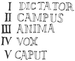 Иллюстрация к книге — Может ли жираф облизать свои уши? [i_290.jpg]