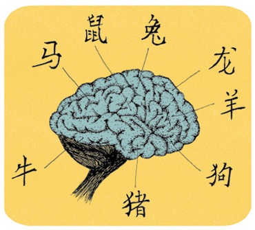 Иллюстрация к книге — Может ли жираф облизать свои уши? [i_291.jpg]