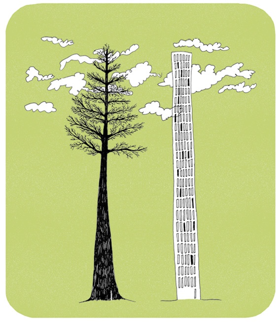 Иллюстрация к книге — Может ли жираф облизать свои уши? [i_293.jpg]