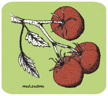 Иллюстрация к книге — Может ли жираф облизать свои уши? [i_295.jpg]