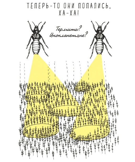 Иллюстрация к книге — Может ли жираф облизать свои уши? [i_307.jpg]