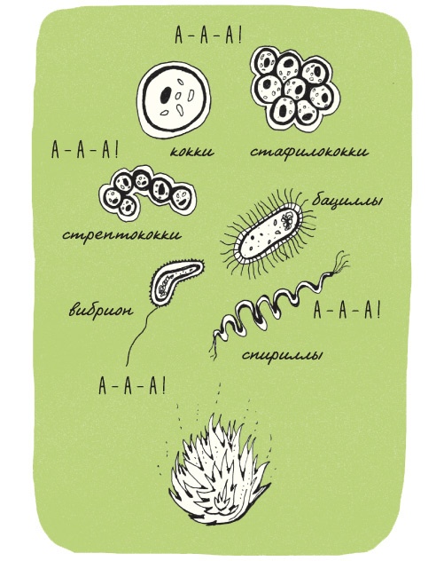 Иллюстрация к книге — Может ли жираф облизать свои уши? [i_308.jpg]