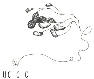 Иллюстрация к книге — Может ли жираф облизать свои уши? [i_314.jpg]