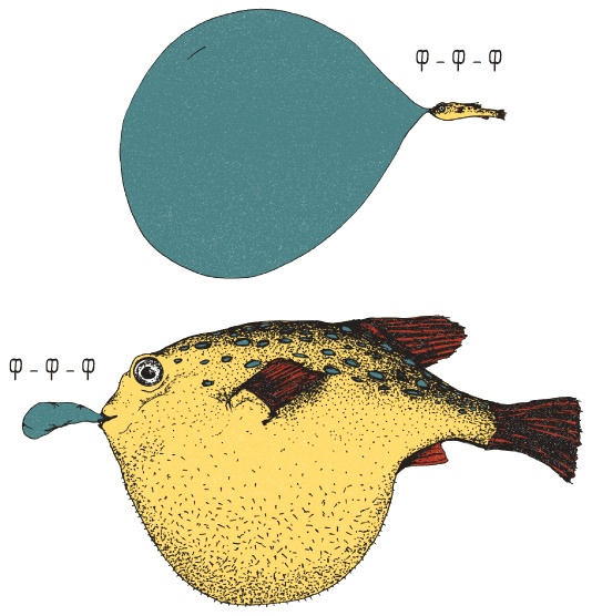 Иллюстрация к книге — Может ли жираф облизать свои уши? [i_315.jpg]