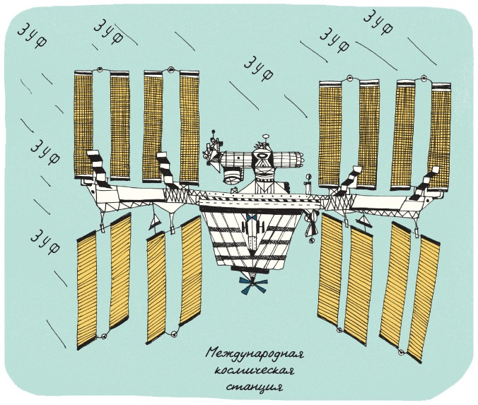 Иллюстрация к книге — Может ли жираф облизать свои уши? [i_339.jpg]