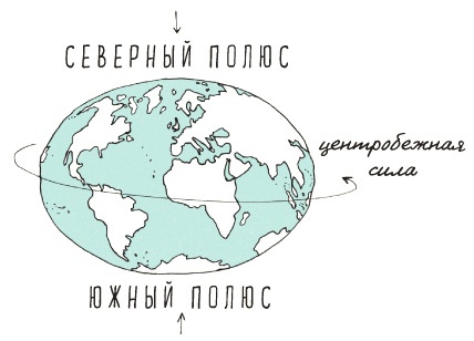 Иллюстрация к книге — Может ли жираф облизать свои уши? [i_341.jpg]