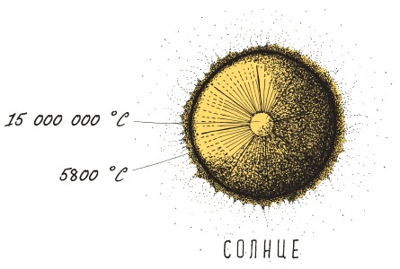 Иллюстрация к книге — Может ли жираф облизать свои уши? [i_343.jpg]