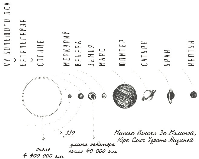 Иллюстрация к книге — Может ли жираф облизать свои уши? [i_347.jpg]