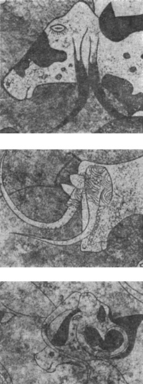 Иллюстрация к книге — Тайны древней Африки [i_007.jpg]