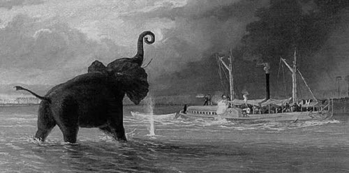 Иллюстрация к книге — Тайны древней Африки [i_012.jpg]