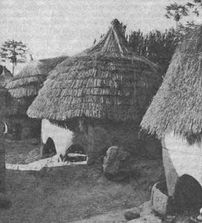 Иллюстрация к книге — Тайны древней Африки [i_057.jpg]