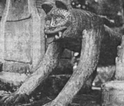 Иллюстрация к книге — Тайны древней Африки [i_058.jpg]