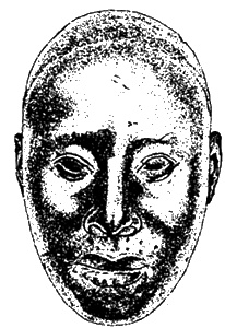 Иллюстрация к книге — Тайны древней Африки [i_063.jpg]