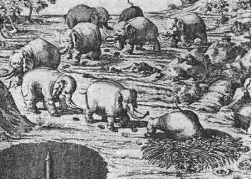 Иллюстрация к книге — Тайны древней Африки [i_076.jpg]