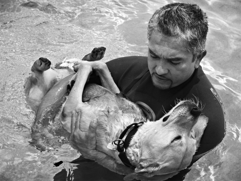 Иллюстрация к книге — «Вожак стаи». Полное руководство по дрессировке и воспитанию собак [i_010.jpg]