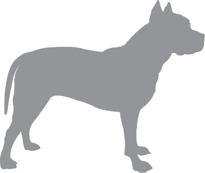 Иллюстрация к книге — «Вожак стаи». Полное руководство по дрессировке и воспитанию собак [i_012.jpg]