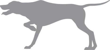 Иллюстрация к книге — «Вожак стаи». Полное руководство по дрессировке и воспитанию собак [i_019.jpg]