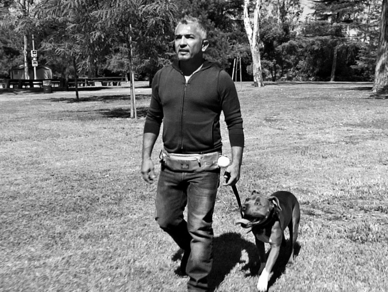 Иллюстрация к книге — «Вожак стаи». Полное руководство по дрессировке и воспитанию собак [i_027.jpg]