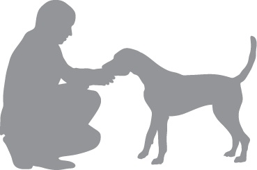 Иллюстрация к книге — «Вожак стаи». Полное руководство по дрессировке и воспитанию собак [i_040.jpg]