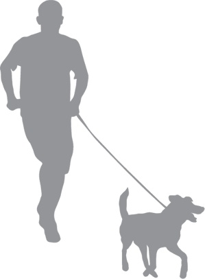 Иллюстрация к книге — «Вожак стаи». Полное руководство по дрессировке и воспитанию собак [i_041.jpg]