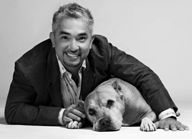 Иллюстрация к книге — «Вожак стаи». Полное руководство по дрессировке и воспитанию собак [i_053.jpg]