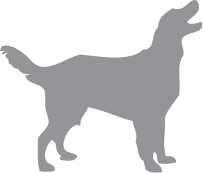 Иллюстрация к книге — «Вожак стаи». Полное руководство по дрессировке и воспитанию собак [i_055.jpg]