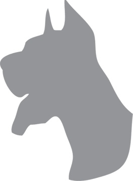 Иллюстрация к книге — «Вожак стаи». Полное руководство по дрессировке и воспитанию собак [i_056.jpg]