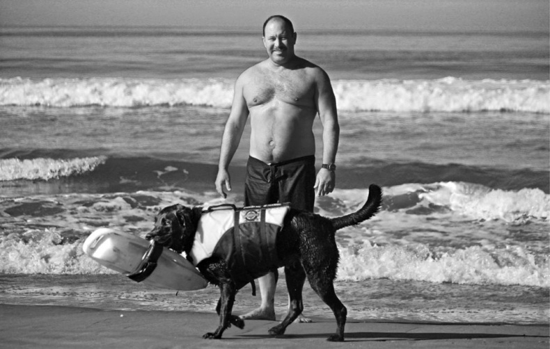 Иллюстрация к книге — «Вожак стаи». Полное руководство по дрессировке и воспитанию собак [i_061.jpg]