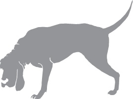 Иллюстрация к книге — «Вожак стаи». Полное руководство по дрессировке и воспитанию собак [i_067.jpg]