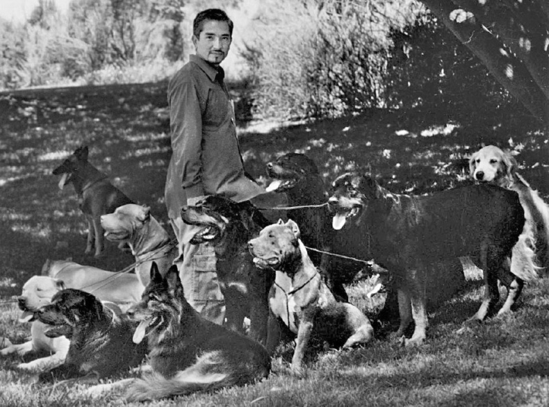 Иллюстрация к книге — «Вожак стаи». Полное руководство по дрессировке и воспитанию собак [i_079.jpg]