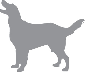 Иллюстрация к книге — «Вожак стаи». Полное руководство по дрессировке и воспитанию собак [i_082.jpg]