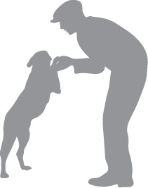 Иллюстрация к книге — «Вожак стаи». Полное руководство по дрессировке и воспитанию собак [i_083.jpg]