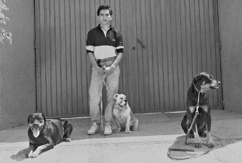 Иллюстрация к книге — «Вожак стаи». Полное руководство по дрессировке и воспитанию собак [i_084.jpg]