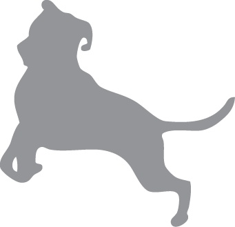 Иллюстрация к книге — «Вожак стаи». Полное руководство по дрессировке и воспитанию собак [i_092.jpg]