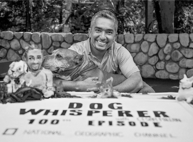 Иллюстрация к книге — «Вожак стаи». Полное руководство по дрессировке и воспитанию собак [i_096.jpg]