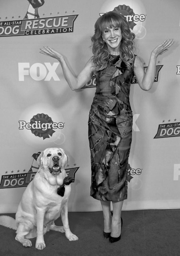 Иллюстрация к книге — «Вожак стаи». Полное руководство по дрессировке и воспитанию собак [i_098.jpg]