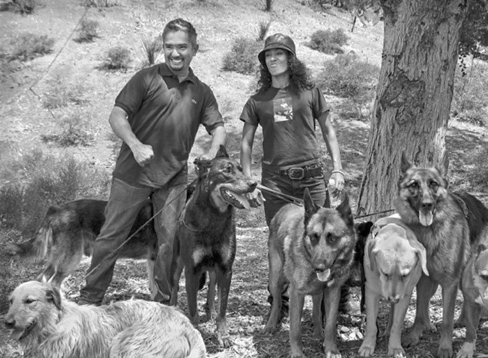 Иллюстрация к книге — «Вожак стаи». Полное руководство по дрессировке и воспитанию собак [i_100.jpg]