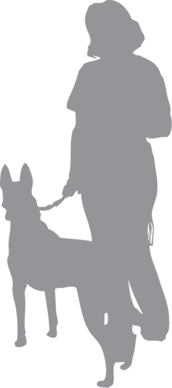 Иллюстрация к книге — «Вожак стаи». Полное руководство по дрессировке и воспитанию собак [i_106.jpg]