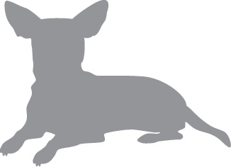 Иллюстрация к книге — «Вожак стаи». Полное руководство по дрессировке и воспитанию собак [i_107.jpg]