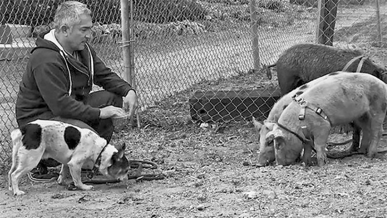 Иллюстрация к книге — «Вожак стаи». Полное руководство по дрессировке и воспитанию собак [i_109.jpg]