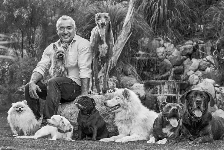 Иллюстрация к книге — Уроки для «Вожака стаи» [i_001.jpg]