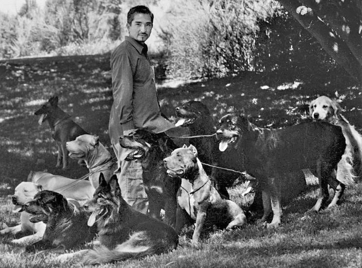 Иллюстрация к книге — Уроки для «Вожака стаи» [i_008.jpg]