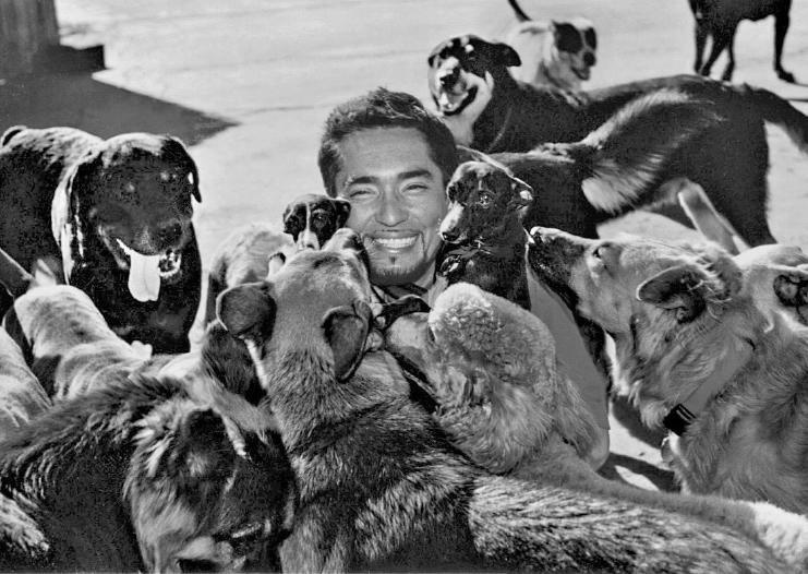 Иллюстрация к книге — Уроки для «Вожака стаи» [i_012.jpg]