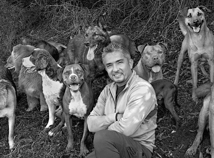 Иллюстрация к книге — Уроки для «Вожака стаи» [i_014.jpg]