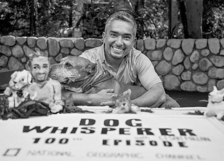 Иллюстрация к книге — Уроки для «Вожака стаи» [i_020.jpg]